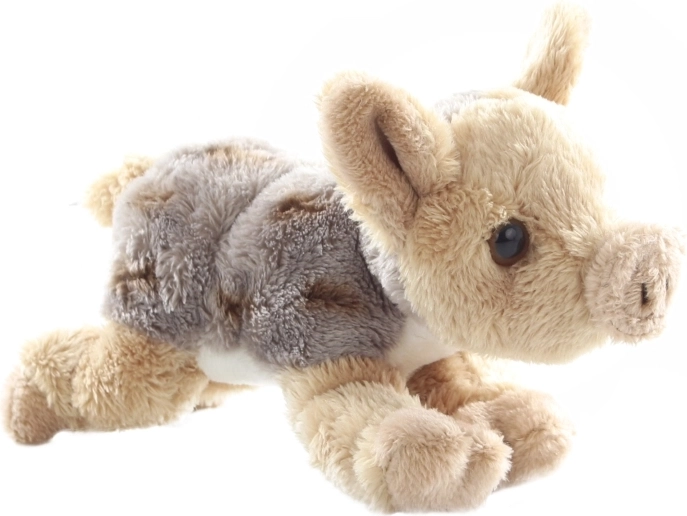 Aspect drăguț și realist