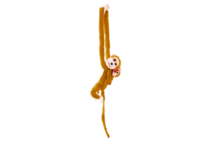Design adorabil