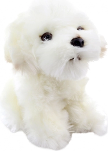 Detalii realiste ale unui cățeluș adorabil