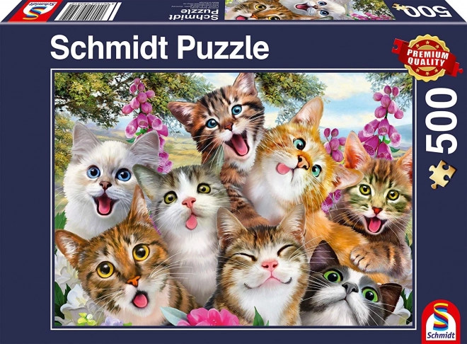 Puzzle selfie cu pisici 500 de piese