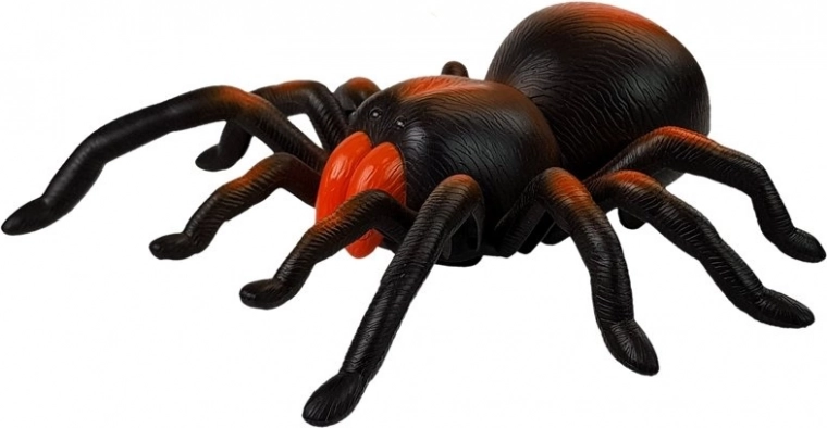 Aspect realist și mișcare