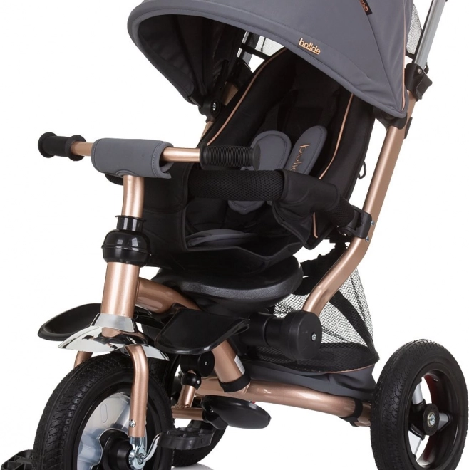 Tricicletă pentru copii cu acoperiș Chipolino Bolide 2v1