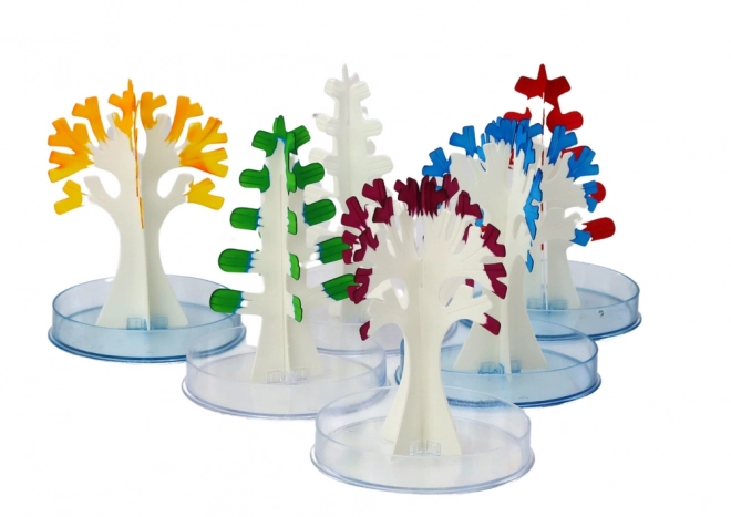 Set educativ pentru creșterea arborilor de cristale