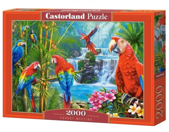 Puzzle cu 2000 de piese Parrot Meeting