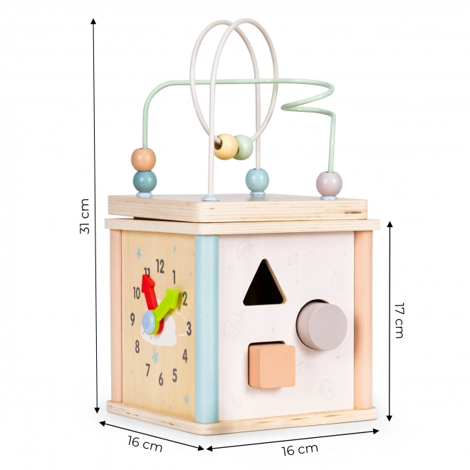 Jucărie educativă din lemn cub sorter Ecotoys