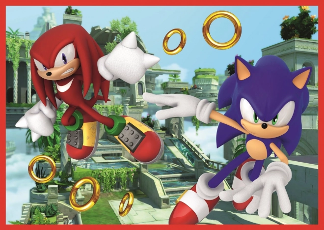 Puzzle Aventurile lui Sonic