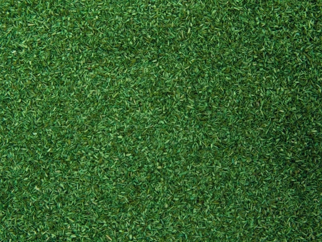 Material de presărat Pajiște Verde Mediu