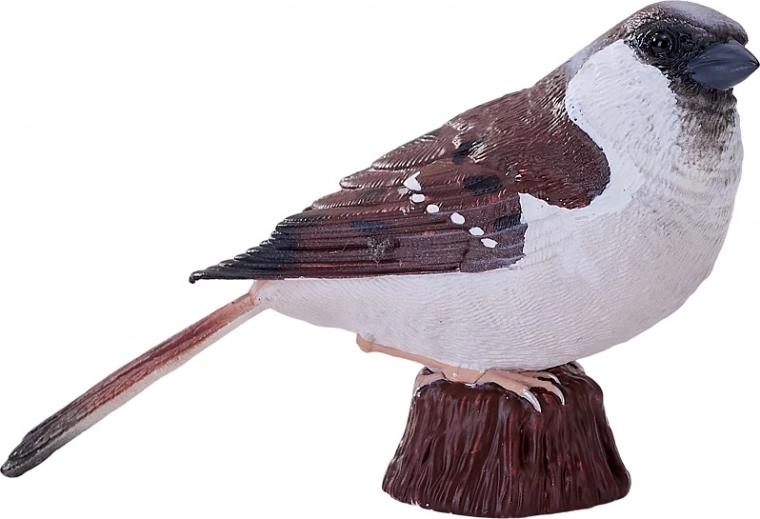 Utilizare versatilă: joacă, educație, colecție