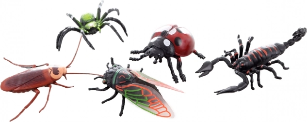 Set de insecte pentru copii