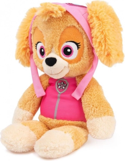 Aspectul iconic al lui Skye din PAW Patrol