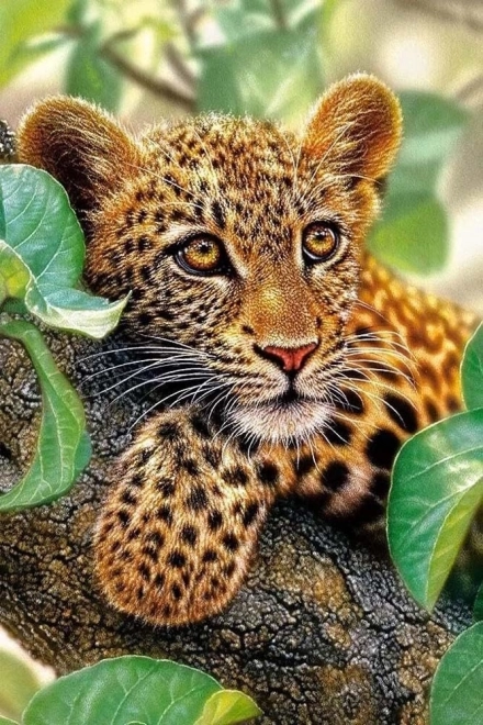 Pictură cu diamante Leopard 30x40cm