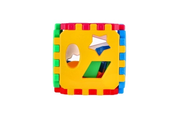 Cub puzzle din plastic