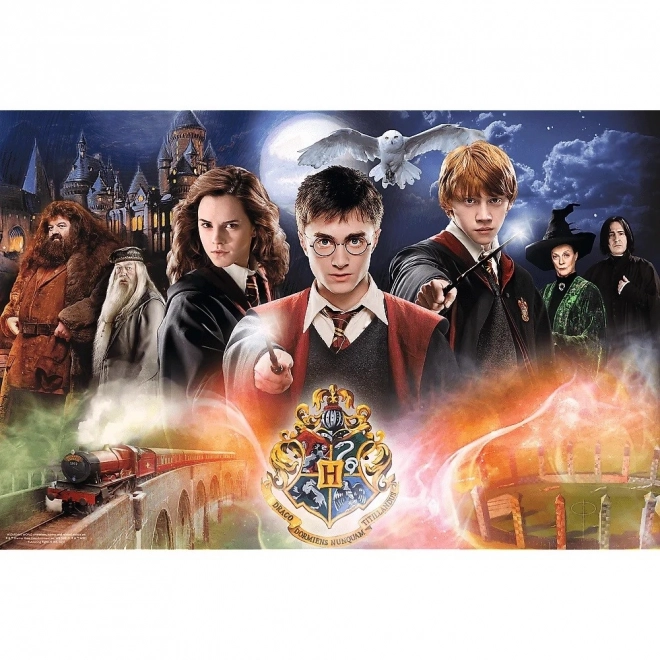 Puzzle 300 piese Harry Potter Misterios