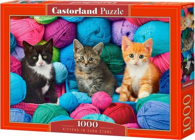 Puzzle castorland cu pisoi în magazinul de fire 1000 piese