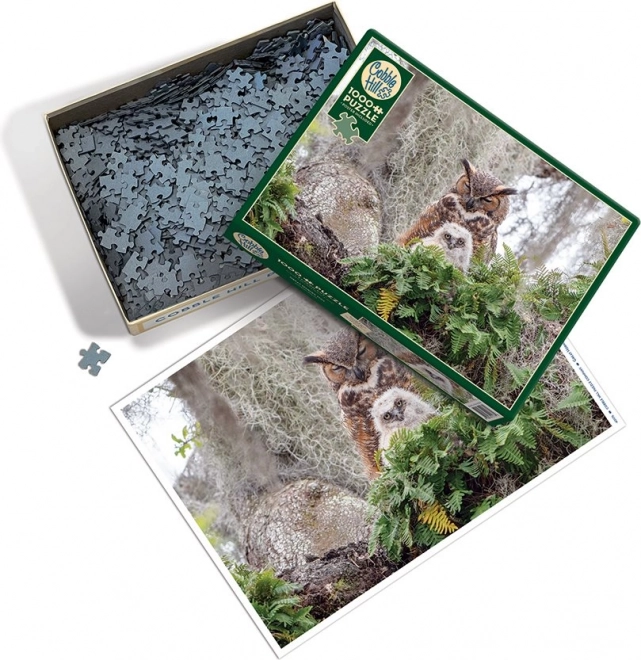 Puzzle 1000 piese Vârf virginsk - Cobble Hill