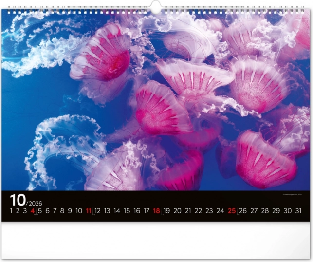 Calendar de perete Lumea subacvatică 2026