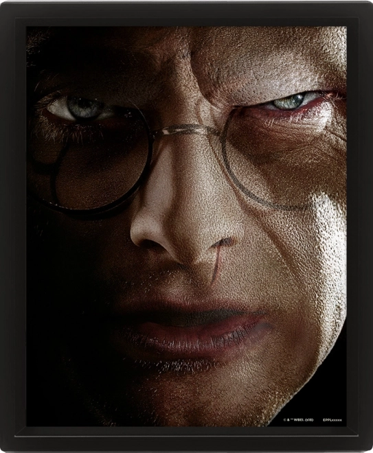 3D Tablou Harry Potter - Harry vs Voldemort