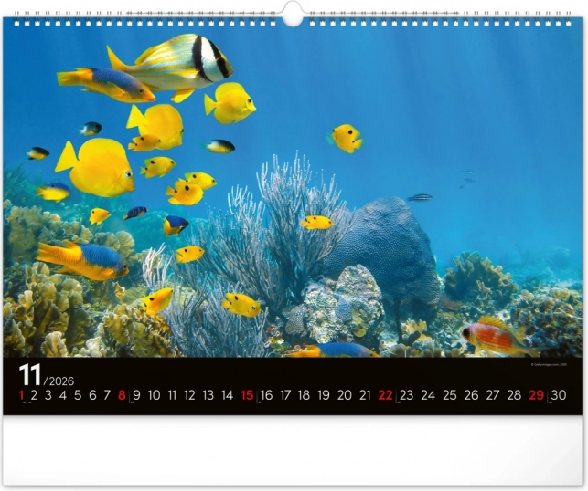 Calendar de perete Lumea subacvatică 2026