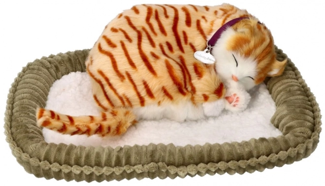 Adoptă-mă Pisoi respirant tigrat roșcat
