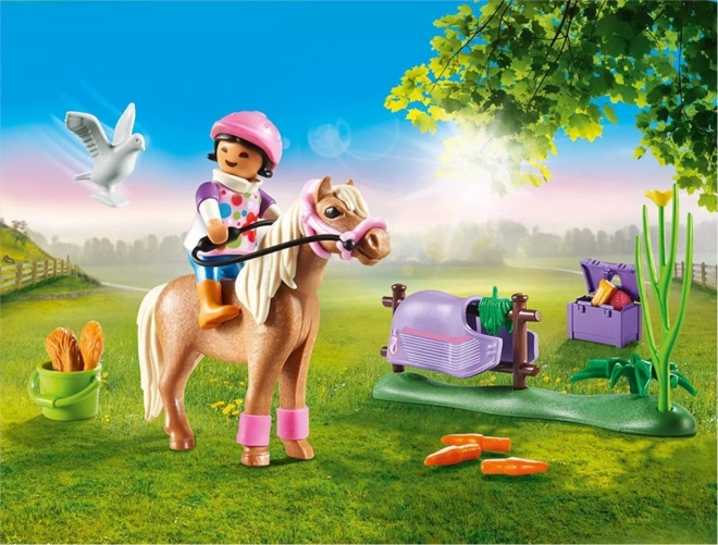 Set Islandez cu ponei Playmobil