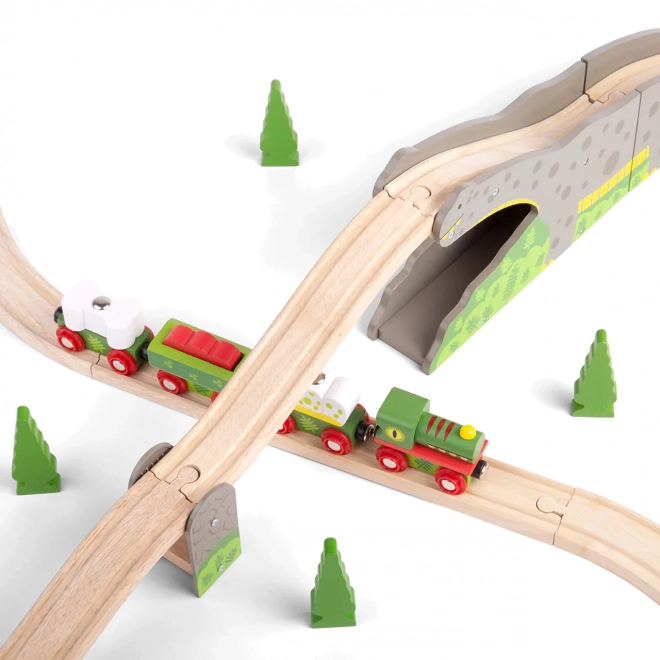 Pod Dinosauri Bigjigs Rail