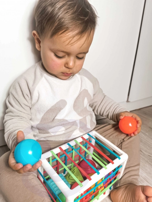 Jucărie Cub Sensory WOOPIE cu Forme Colorate