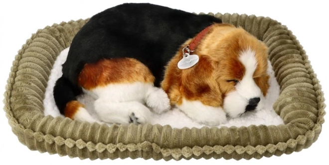Cățeluș Relaxant Beagle
