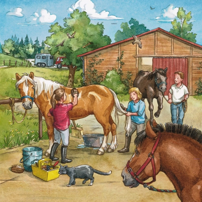 Puzzle Ravensburger la fermă de cai 3x49 piese