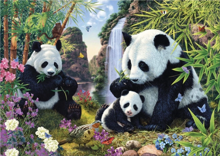 Puzzle Pande ascunse 1000 piese – Secret Collection