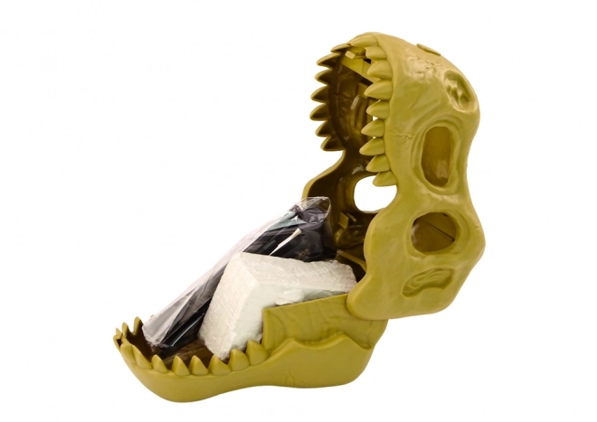 Set arheologic descoperiri dinozauri fosile craniu