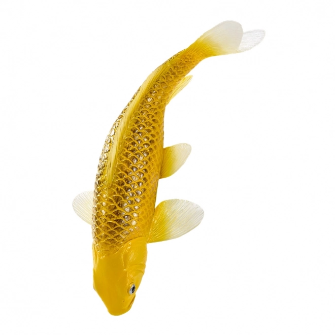 Mojo crap koi Matsuba