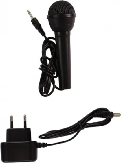Instrumente muzicale electronice cu microfon pentru copii