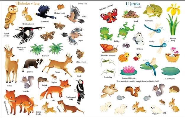 Cărticică cu autocolante Natura