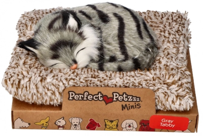 Pisicuță mică gri Perfect Petzzz