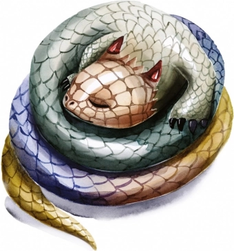 Diversitatea dragonilor
