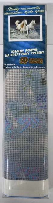 Pictură cu diamante Cai albi galopând 30x40cm