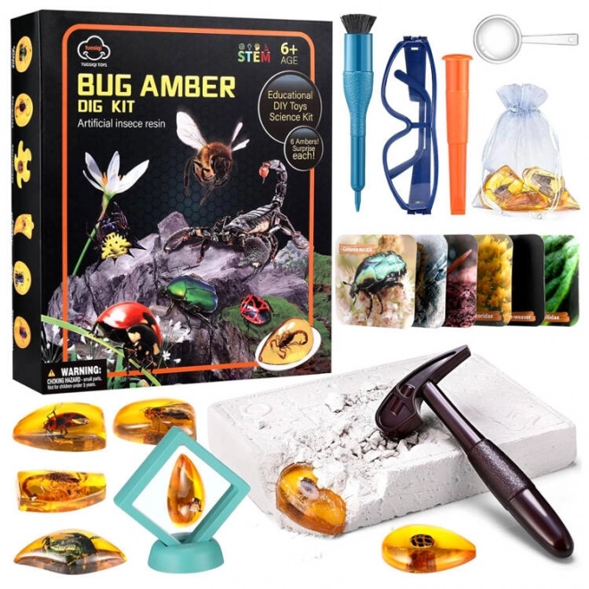 Set arheologic fosile de insecte în chihlimbar