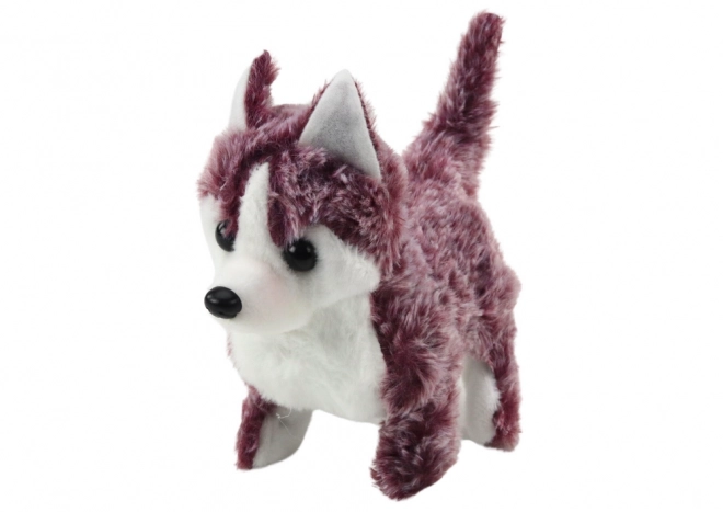 Cățeluș Husky Interactiv cu Sunet
