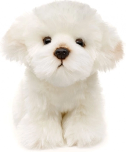 Execuție eco-friendly și sigură