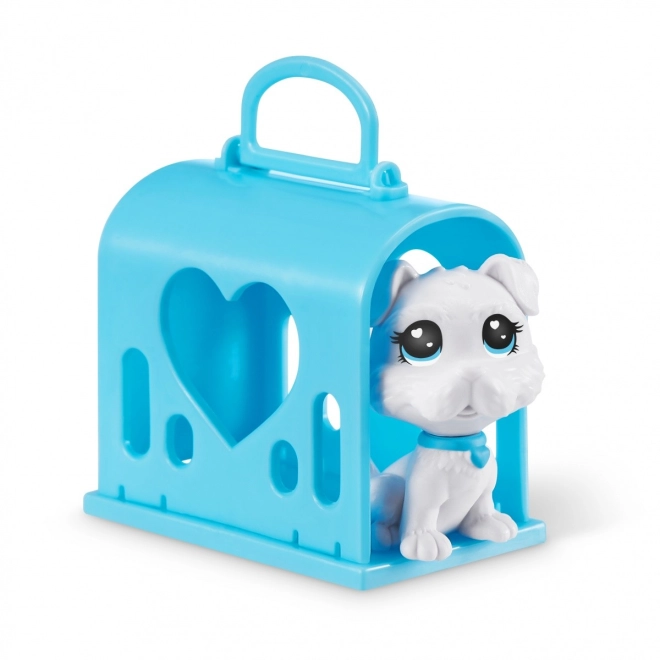 Pacienți adorabili și transport sigur