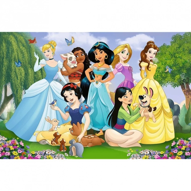 Puzzle Super Shape XL Disney Prințese: În Grădină 104 Piese