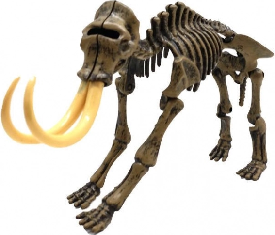 Schelet 3D realist de mamut