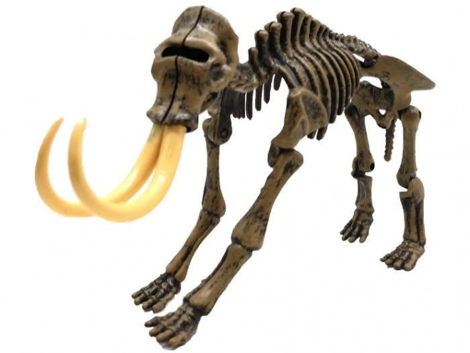 Skelet Mamut Excavare 3D – B