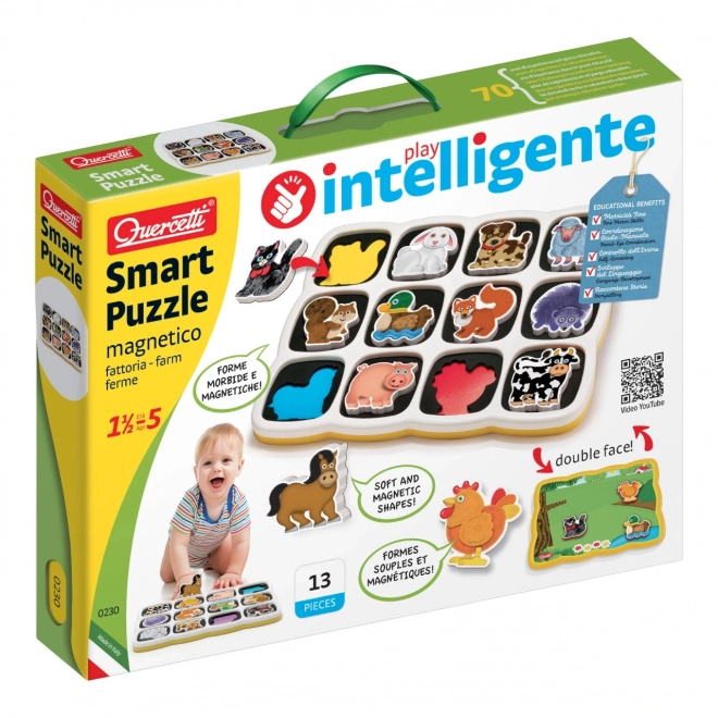 Puzzle magnetic Smart Fermă