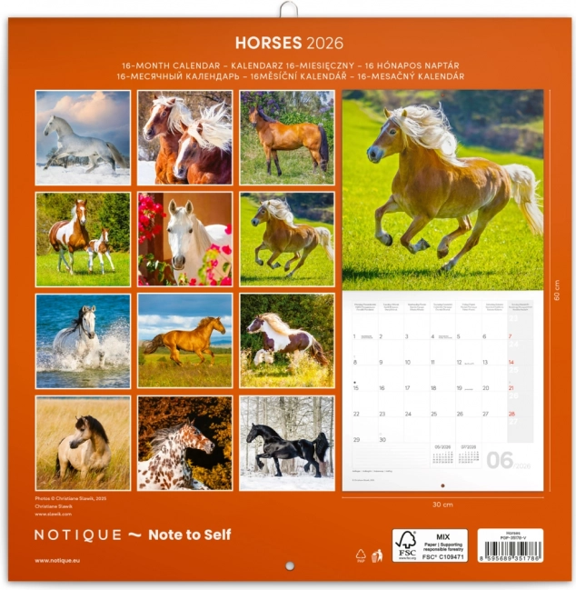 Calendar de notițe Cai Christiane Slawik 2026