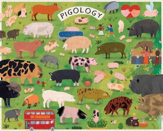 Puzzle pigology 1000 piese