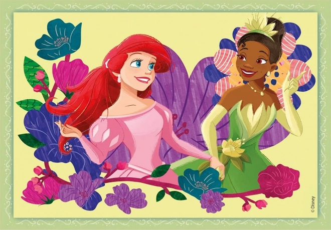 Puzzle Progresiv Disney Princess