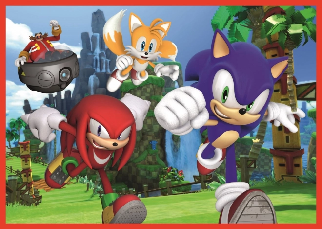 Puzzle Aventurile lui Sonic