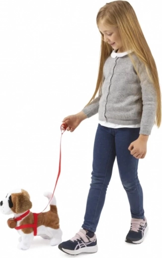 Merge în lesă și ascultă la bătăi din palme