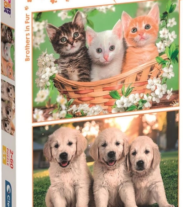 Puzzle Frăţiori blănoși